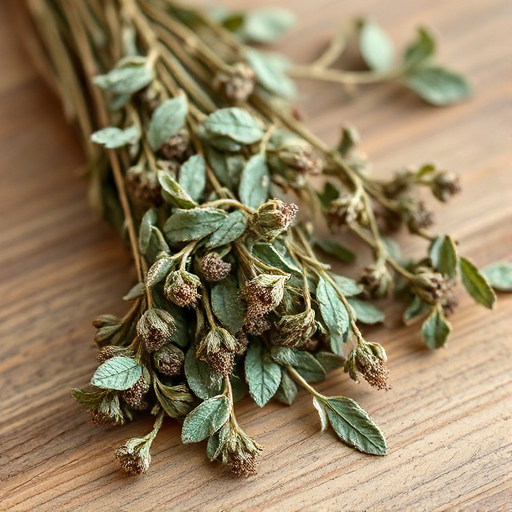 Manayupa — Desmodium molliculum, diurético andino